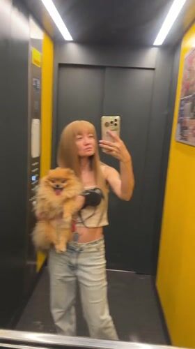Fluffy Pomeranian enjoying affection in Novorossiysk