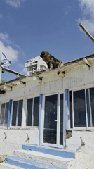 Large dog spotted on rooftop in Bat Yam, Israel