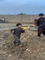 Livestock trading activity documented in Quetta, Pakistan