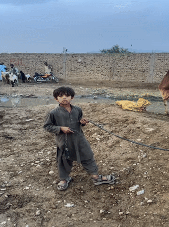 Livestock trading activity documented in Quetta, Pakistan