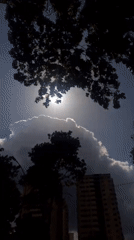 Caracas resident documents afternoon neighborhood scenes, sunlight through trees