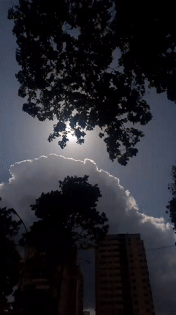 Caracas resident documents afternoon neighborhood scenes, sunlight through trees