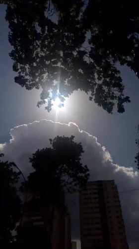 Caracas resident documents afternoon neighborhood scenes, sunlight through trees