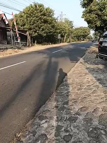 A drone shot shows a rural road with a paved surface and a stone-lined shoulder. Trees line the sides of the road, and a small building with Indonesian flags is visible on the left. Several motorcycles are traveling on the road, casting long shadows. One motorcycle in the foreground appears to be a scooter with a rear cargo box. The sky is clear and bright, suggesting a sunny day.