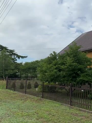The video shows a stork standing on the roof of a yellow wooden house. The sky is cloudy. The house has a brown roof, white windows, and a white dormer. A dark metal fence is in the foreground.