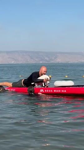 A bald man is lying on a red paddleboard in the water. He is wearing a black long-sleeved shirt and dark shorts. A small white and brown dog is standing on the paddleboard next to him, facing the camera and looking at the man. A child in a dark swimsuit is in the water to the left of the paddleboard, looking up at the dog. Another child is visible in the water to the left of the first child. The water is calm and blue, and the sky is clear. In the background, there is a shoreline with hills. There are yellow buoys in the water.
