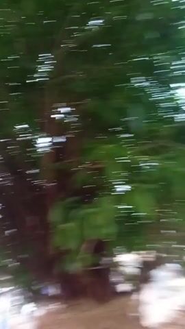 The video begins with a shaky shot looking up at the leaves of a tree. It then transitions to a slightly more stable view of a street scene, with a few buildings and some parked vehicles visible. The camera then pans to focus on a young man sitting and looking directly at the camera. He is wearing a white t-shirt with a black pattern and blue jeans. Another person, a young boy, is partially visible to his left. The background shows a dusty, outdoor environment with some informal structures and a few people in the distance. The lighting suggests it is daytime, possibly late afternoon.