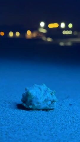 The video features a close-up, low-angle shot of a single seashell resting on sandy ground at night. The shell, which appears light-colored (possibly off-white or pale blue-green) with a ridged and textured surface, is sharply in focus in the foreground.

The sand beneath and around the shell is illuminated by an intense, uniform blue light, suggesting artificial lighting rather than natural conditions. This blue coloration dominates the foreground.

In the background, a dark horizon is punctuated by several blurred circles of light, creating a bokeh effect. These distant lights vary in color from bright white to warm yellow and orange, likely originating from buildings, a city skyline, or coastal structures.

The overall scene is set at night or very late evening. The predominant color scheme is deep blue in the foreground, transitioning to dark blue and black in the background, contrasted by the bright, blurred lights.

Throughout the video, the distinct sound of ocean waves lapping or crashing is audible, firmly establishing the setting as a beach or coastline. Given the location context of Al Fiqait, United Arab Emirates, this is a night scene on a beach, possibly illuminated by special lighting installations.

No people or visible text are present in the frame. The atmosphere evoked is tranquil and somewhat mysterious.