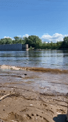 Family enjoys shell-collecting morning outing along Kama River, Chaikovsky