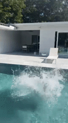 Young man performs flip dive into Hollywood pool