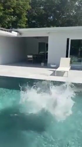 Young man performs flip dive into Hollywood pool
