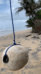 Early morning beach scenes captured in coastal Sri Lanka