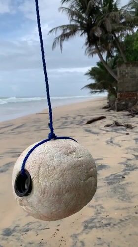 Early morning beach scenes captured in coastal Sri Lanka