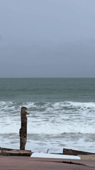 Overcast morning beach scene with rough waves, scattered debris