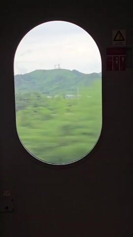 The video shows a view through an oval-shaped window of a moving train. The window frames a landscape of rolling green hills, lush trees, and some scattered buildings, suggesting a rural or semi-rural setting. The trees in the foreground appear blurred due to the motion of the train, creating a sense of speed. In the distance, a telecommunications tower is visible atop one of the hills. The sky is overcast. On the wall next to the window, there are a couple of signs, one of which is a yellow warning triangle with a black exclamation mark. The overall impression is of a journey through a verdant countryside.