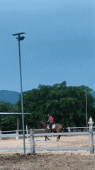 Horse riding lesson captured at Thai equestrian facility