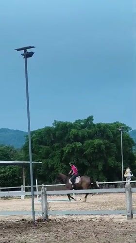 Horse riding lesson captured at Thai equestrian facility