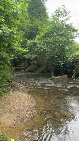 A clear, shallow stream flows through a wooded area. The banks of the stream are covered with gravel and sand on the left side, and dense green foliage on the right. Trees with lush green leaves overhang the water, creating a dappled light effect. The water appears clear and is flowing at a moderate pace. The overall scene depicts a tranquil natural environment.