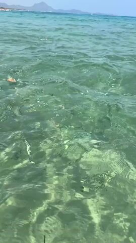 The video shows a shallow, clear, green-tinted body of water. The water surface is rippled and reflects sunlight. The seabed, which appears sandy and uneven, is visible beneath the water. There are small fish swimming in the water. In the distance, a shoreline with some vegetation and structures is visible under a bright sky. The video is shaky, suggesting it was recorded by someone holding a camera, possibly in the water themselves.