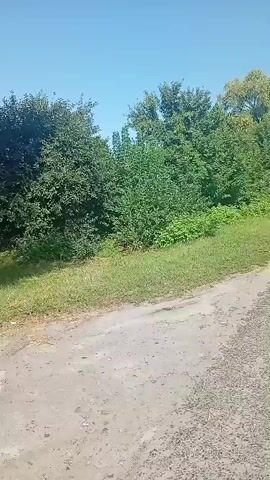 The video shows a person walking down a dirt road. The person is wearing a blue shirt, khaki pants, a white hat, and a green backpack. The road is lined with trees and grass. The sky is blue. The video is taken from a first-person perspective. The person is walking away from the camera.