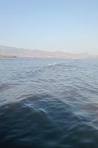 The video shows a body of water with a shoreline and mountains in the distance. The sky is clear and blue. The water is choppy and appears to be moving. In the foreground, a person is holding a long, blue tube. The person's arm and hand are visible. The tube is positioned horizontally in the water. The video is shot from a low angle, giving the impression of being close to the water. There are a few small white objects in the distance on the water, which could be buoys or small boats. The overall scene is calm and serene.
