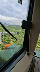 Farmer drives tractor through lettuce field in Bulgaria