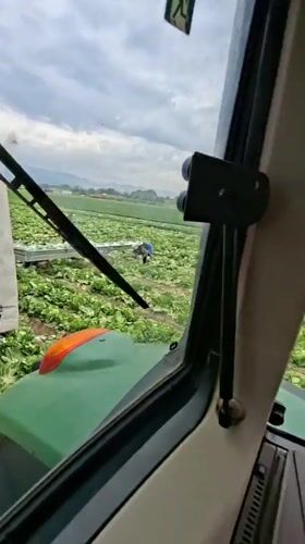 Farmer drives tractor through lettuce field in Bulgaria