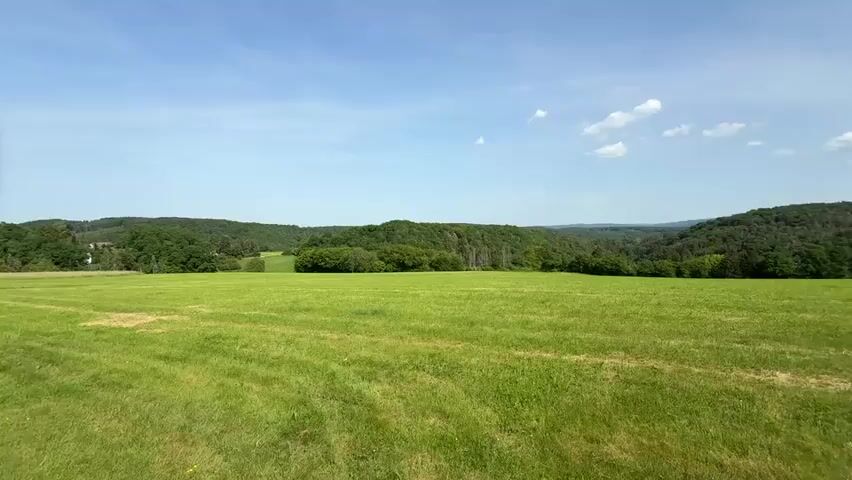 The camera is positioned in a grassy field with a gentle slope. The grass is green and has some brown patches. In the background, there are hills covered in dense green trees. The sky is blue with a few scattered white clouds. The lighting is bright and sunny. A blurry human finger briefly enters the frame on the left side.