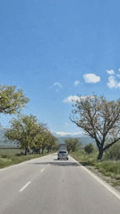 Car filmed driving on tree-lined road in Bulgaria