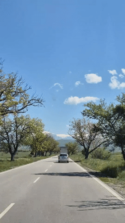 Car filmed driving on tree-lined road in Bulgaria