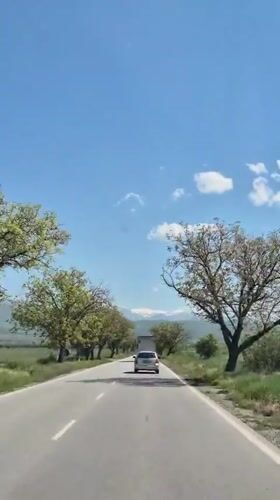 Car filmed driving on tree-lined road in Bulgaria