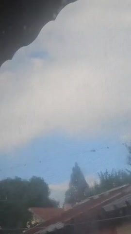 The video shows an outdoor scene, likely filmed through a window with a screen. The sky is largely covered by white clouds, with patches of bright blue visible. Below the horizon, a line of trees and the red-tiled roofs of houses can be seen. A prominent, tall, conical tree stands out among the other foliage. Utility lines or power lines are stretched across the mid-ground. The camera slightly pans, revealing more of the sky and the distant landscape. The overall impression is a daytime view of a residential or semi-rural area in Dragovishtitsa, Bulgaria, under a partly cloudy sky.