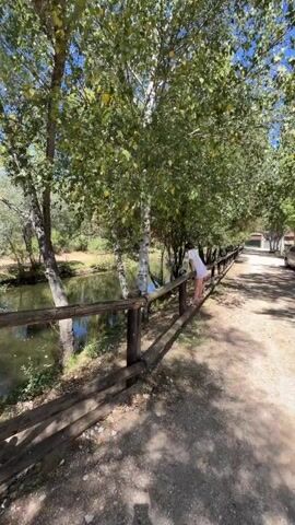 A video shows a person wearing a white outfit leaning over a wooden fence by a body of water. The person is on a path to the right of the frame, and the water is to the left. Trees with green leaves line the water's edge and the path. The sky is blue and clear. The video pans across the scene, showing more of the water, trees, and the wooden fence.