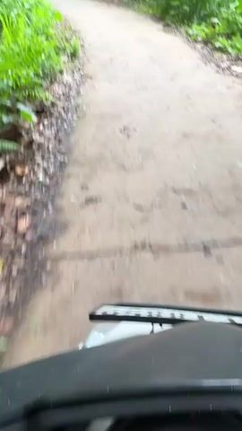 The video provides a first-person perspective from a moving vehicle, likely a jeep or SUV, as it navigates a winding road through a lush, tropical landscape. The camera is mounted on the front of the vehicle, with a portion of the hood and a roof rack visible in the initial frames. The road transitions from a dirt path to a concrete surface, bordered by dense green vegetation, including tall palm trees and various shrubs. On the left side of the road, a narrow stream or canal flows alongside, passing under a small, simple concrete bridge. A building is partially visible in the distance beyond the bridge and foliage. The scene is brightly lit, indicating daytime, with no harsh shadows, suggesting an overcast or partly cloudy sky. No people are visible. The setting appears to be a rural or natural area in Thihagoda, Sri Lanka.