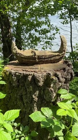 A camera pans slowly from left to right around a carved wooden object resting on a tree stump. The object is weathered, with visible cracks and wood grain, and appears to be a stylized crescent or a pointed head-like figure. Green foliage, including broad leaves, surrounds the stump. In the background, a body of water with small waves is visible under a bright sky, framed by distant trees. A faint structure, possibly a pier or rock formation, extends into the water in the far background.