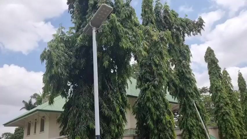 The video pans across a line of tall, slender evergreen trees. These trees are planted in a row, creating a natural barrier or formal landscape feature along the side of a building. The building itself is light-colored with a green, sloped roof. Some windows are visible on the building's facade. A street light stands prominently in the foreground, to the left of the frame. Its white pole and modern light fixture are clearly visible. The scene suggests an outdoor setting, possibly a residential compound or a public space. The weather appears to be fair with scattered clouds in a bright sky. The time of day is likely daytime, given the bright lighting conditions. The overall impression is one of a well-maintained outdoor area. The trees appear healthy and dense with foliage. A partial view of a fence or wall is visible beyond the trees. There is no visible text in the media file.