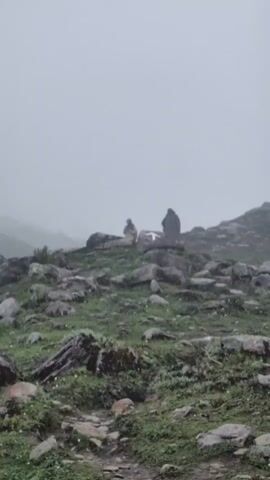 A video of a rocky, green hillside shrouded in fog. Two figures are visible sitting on rocks near the top of a rise. One figure is wearing a light-colored garment, and the other is wearing a darker garment. The fog obscures the background and the upper portion of the frame.