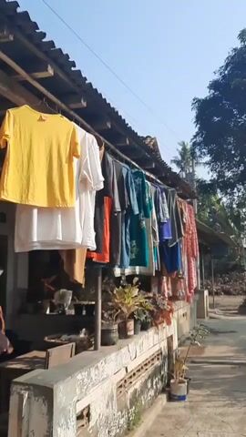 The video shows a clothesline with various garments hanging on it, predominantly t-shirts and dresses in a variety of colors, including yellow, white, orange, gray, teal, and red. The clothes are stretched across a wire suspended from a building with a corrugated roof. Below the clothesline, there are several potted plants arranged on a low wall or ledge. The environment appears to be outdoors, with a clear blue sky visible in the upper portion of the frame. To the right of the clothesline, there is a pathway or ground area, and further in the background, there are trees and more buildings. The scene suggests a residential area, likely in a warm climate, where laundry is being air-dried. The lighting indicates it is daytime, with sunlight illuminating the scene.