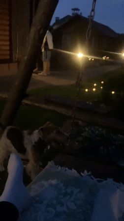Person dances with dog in Belarus backyard at dusk