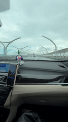 Driver crosses bridge in Saint Petersburg with decorative dashboard