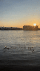 Sunset wildlife viewing at historic Svilengrad bridge draws visitors