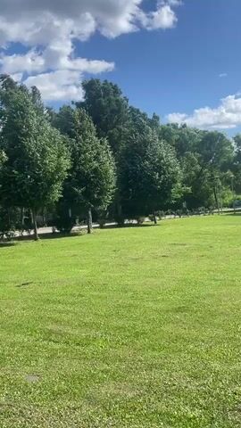 A vertical video shows a grassy park area with a line of trees in the background. The sky is blue with white clouds. The trees are full of green leaves and appear to be deciduous. The grass is well-maintained and green. There are no people visible in the frame. The camera appears to be stationary.
