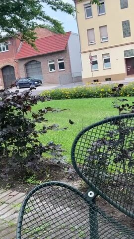 The video shows a park-like setting with a black bird walking on a grassy area. In the background, there are buildings, including a brick building with a red roof and a yellow building. There are also some trees and bushes visible. The video appears to be shot on a cloudy day.