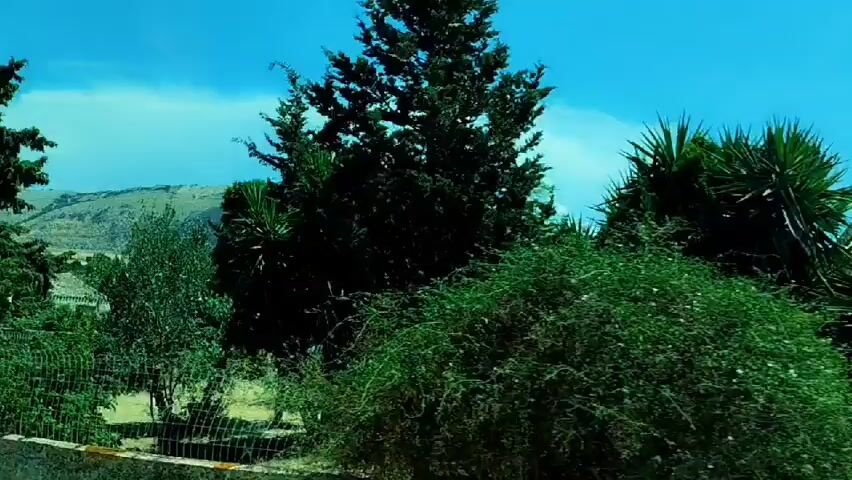 This is a video clip depicting a rural Italian landscape. The scene is dominated by old, weathered stone buildings, some of which appear to be abandoned or in a state of disrepair. Dense green foliage, including trees and possibly vines, is growing over and around the structures, suggesting the passage of time and the encroachment of nature. 

In the background, a rolling, arid hillside rises under a bright blue sky. A large, dramatic cloud formation is visible above the hill, hinting at potential weather activity or simply a striking atmospheric phenomenon. The presence of palm trees and cypress trees suggests a Mediterranean climate. The overall impression is one of rustic charm and historical depth, with a sense of quiet solitude. There is no discernible activity of people, and no text is visible in the clip. The time of day appears to be daytime, under clear or partly cloudy skies.