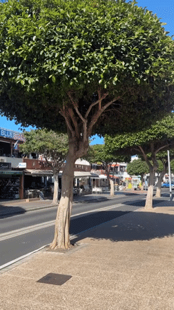 Witness documents sunny afternoon stroll through Tías, Spain