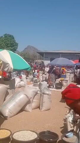 The video shows an outdoor market scene with many people and a variety of items for sale. The market appears to be located in a dusty, possibly rural area, with a mountain visible in the background. Many people are gathered under umbrellas and tents, presumably to shield themselves from the sun. Several individuals are examining or purchasing goods, which appear to include grains, seeds, and other agricultural products stored in large white sacks and bowls. The people in the video are primarily dressed in colorful, traditional clothing. There's a lot of activity and movement, indicating a bustling marketplace.