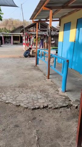 A person is crouching on the ground in front of a blue and yellow building. There is a blue railing in front of the building. A small dog is walking near the railing. The ground is made of cracked concrete and dirt. There are buildings in the background.