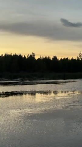 The video shows a serene natural landscape at dusk. A wide body of water dominates the foreground, with gentle ripples disturbing its surface, reflecting the soft, diffused light. In the middle ground, a line of dark trees forms a dense forest bordering the water. The sky above is a gradient of colors, with a pale yellow band near the horizon transitioning into shades of gray and dusky purple clouds. The overall impression is one of tranquility and the peaceful end of a day. There are no people or man-made objects visible.