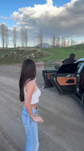 Young people gather around BMW on rural road in Armenia