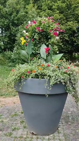 A large, dark grey, conical planter filled with various plants is centrally positioned on a stone-paved surface. The planter is overflowing with a mix of trailing green plants with variegated leaves, smaller flowering plants with red and orange blooms, and taller plants with large green leaves and vibrant red and yellow flowers. A dense green bush forms the backdrop. The camera pans slightly from left to right.